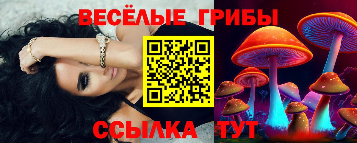где купить наркотик  Вход с VPN  Каменск-Уральский  Псилоцибиновые грибы GOLDEN TEACHER 
