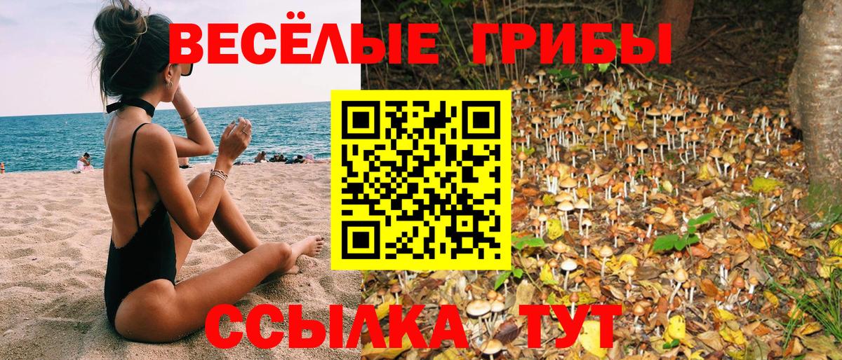 Галлюциногенные грибы мухоморы Каменск-Уральский